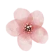 pink-flower