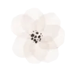 white-flower